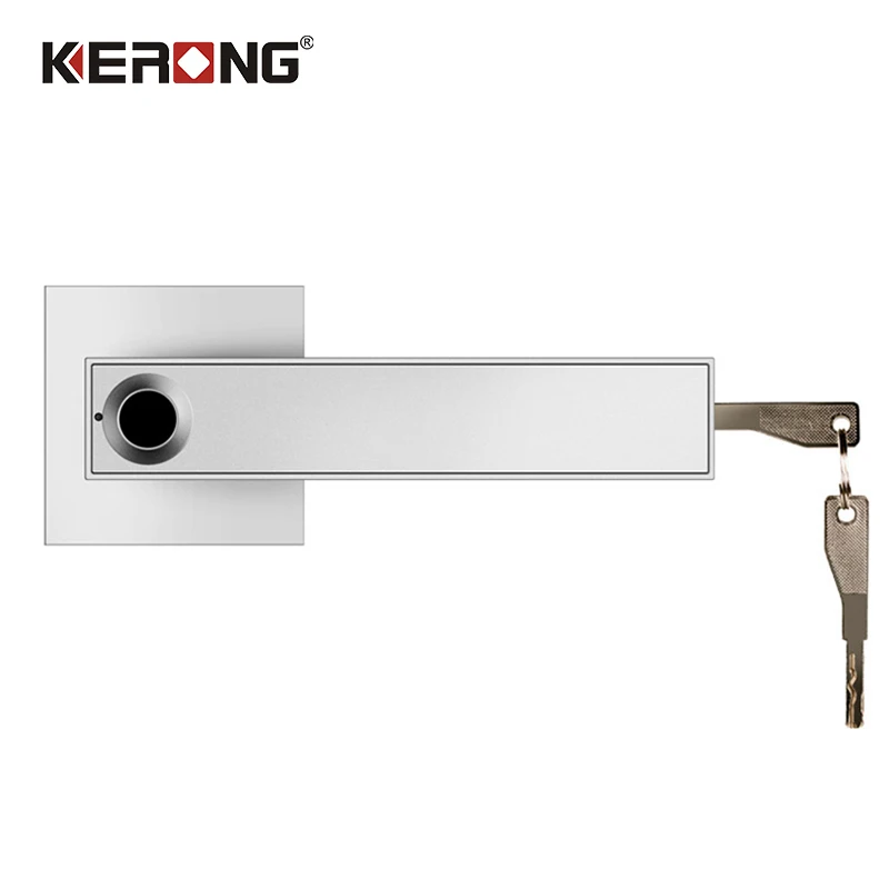 Fingerprint Lock Smart Electronic Door Lock Home Security Key Handle Lock