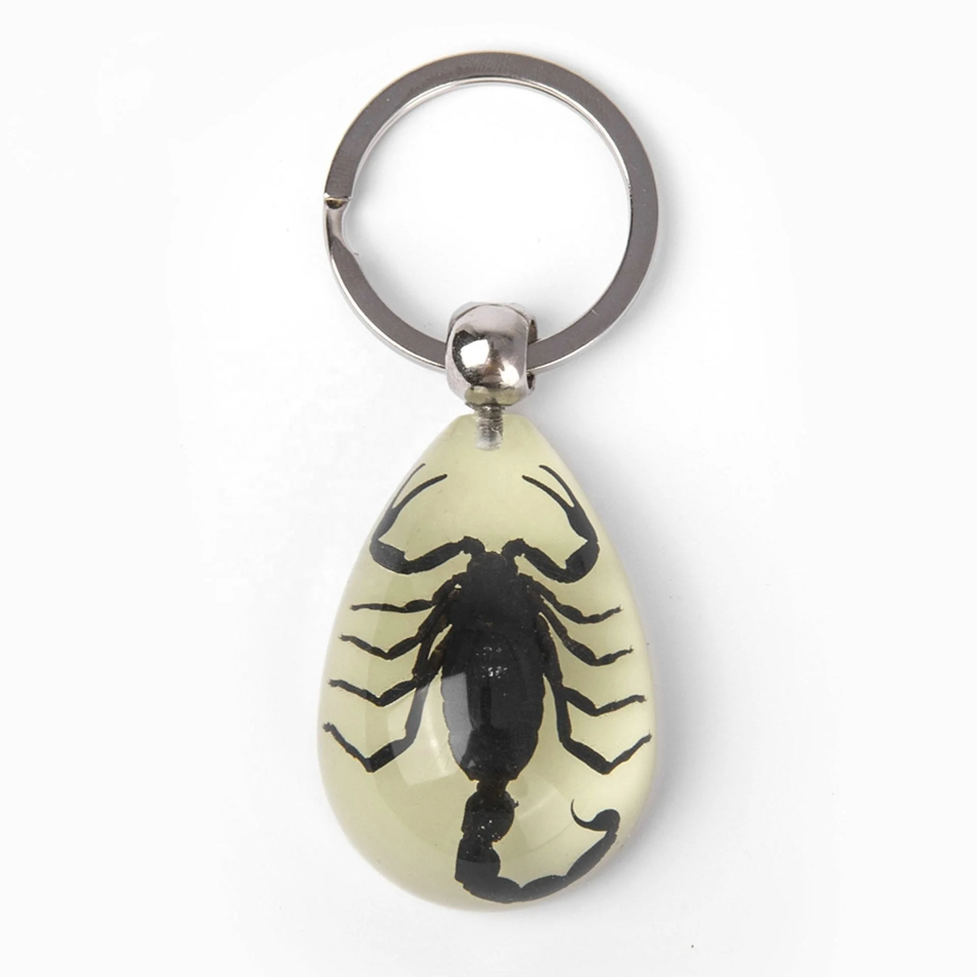 Pure handmade resin drop glue luminous scorpion scarab halloween gift real insect amber specimen keychain