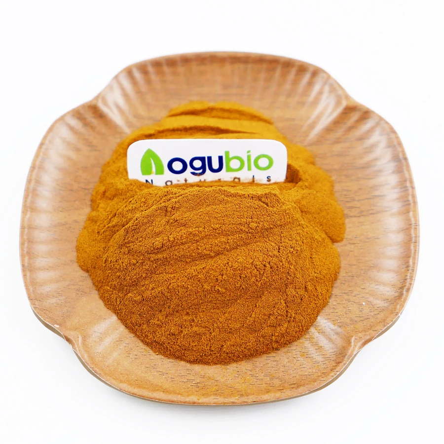 organic certification health supplement Reishi Mushroom Extract powder
