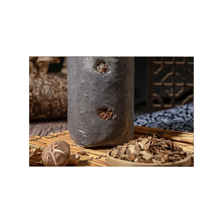 High Quality Service Mushroom Growing Kit Shiitake Mushroom Logs For Sale