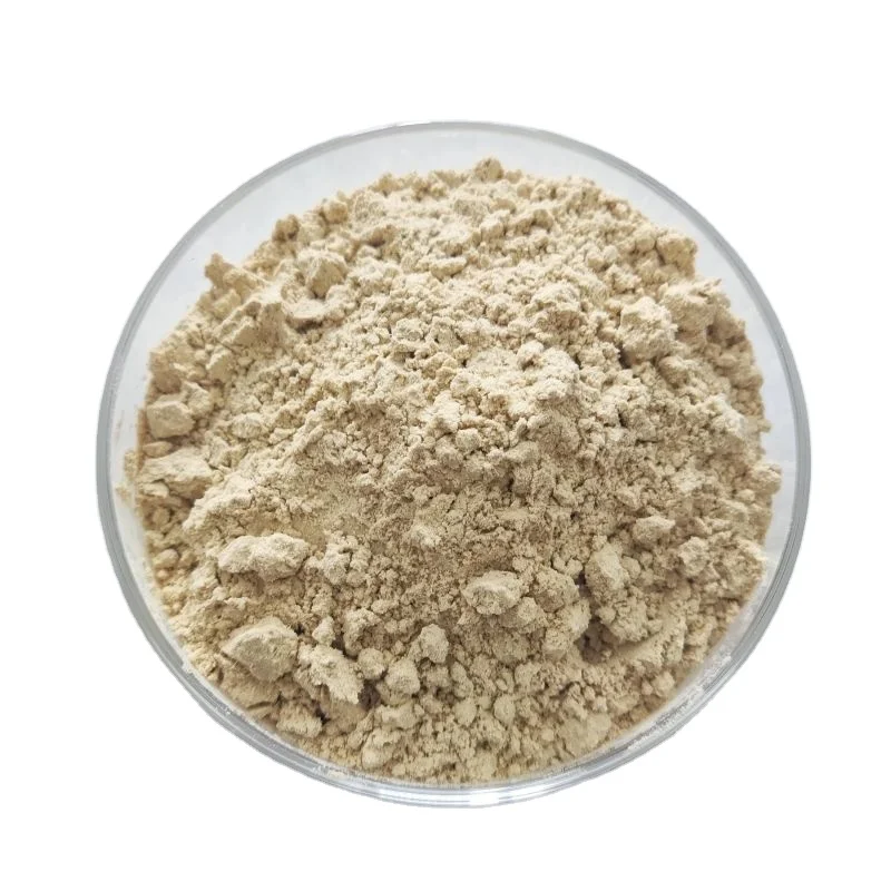Pure Ginseng Powder 10% Panax Ginseng Root Extract