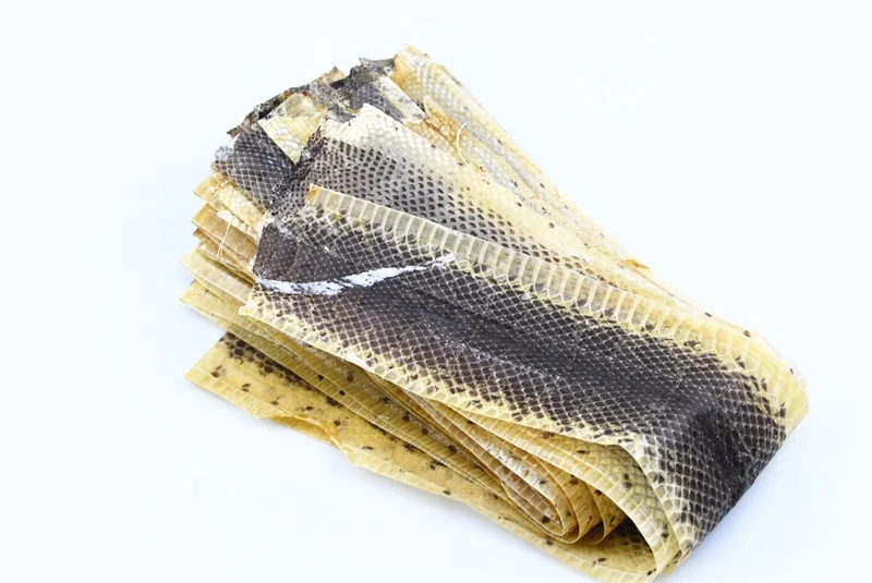 Dry raw water snake skins for leather
