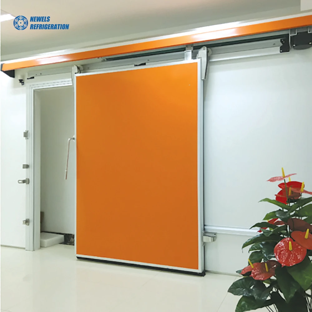 Manual and electric Semi Buried Doors Polyurethane Insulated Cold Room Hinged Swing Door