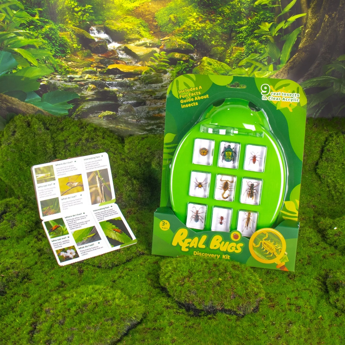 Wholesale Educational Insect Specimen Toys for Kids Early Nature Exploration Toy for Children