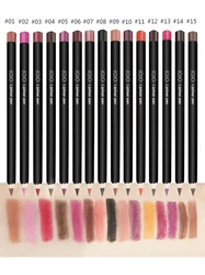 Hot Selling Lip Liner Lipstick Waterproof Matte Lipliner Pencil Private Label