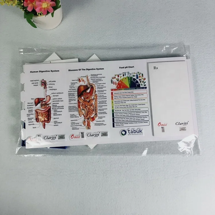 Medical promotion gift anatomy Pen Holder 3d embossed pvc plastic penholder