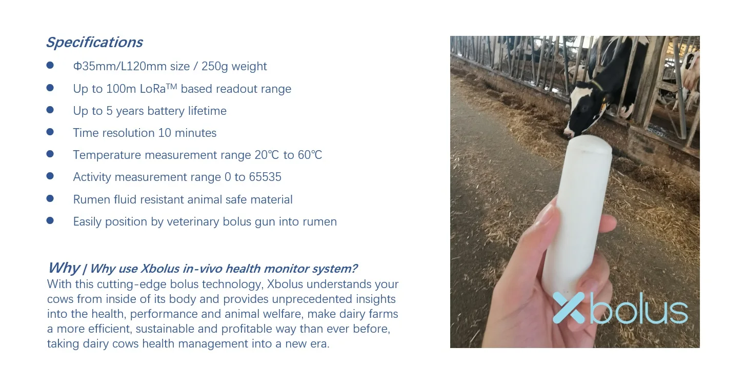 Why Xbolus and Spec.jpg