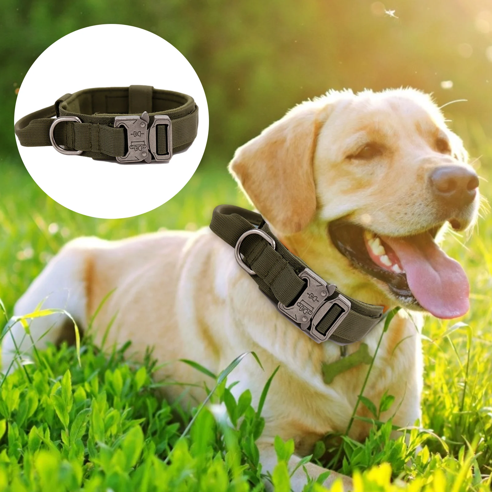 Wholesale Fashion Hunting Metal Buckle Custom Tactical Military Adjustable Pet Collar For Big Dog