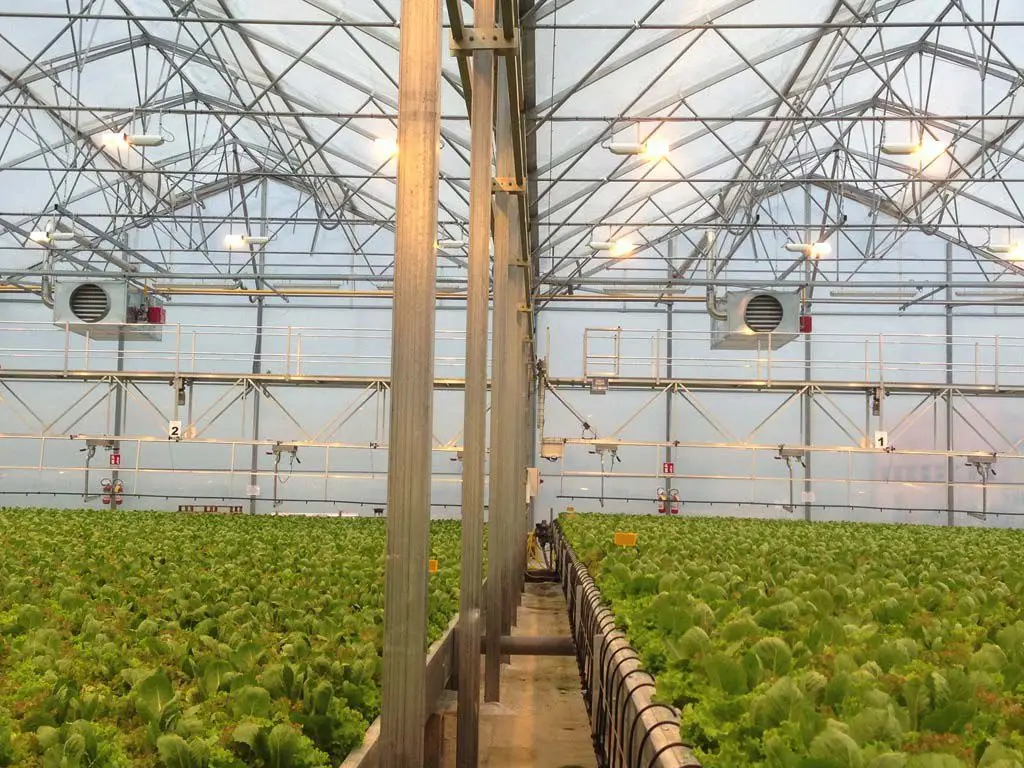 One-one Multi span irrigation system and intelligent control system film greenhouse