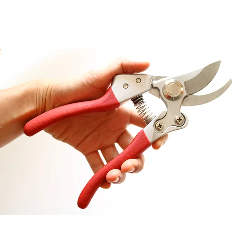 Factory Direct Wholesale Stock Stainless Steel Plastic Dip Pruning Shears Picking Fruit Grape Fruit Branches Garden Hand Tools