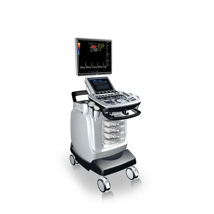 19' HD 3D 4D Digital Portable Color Doppler Ultrasound Diagnostic Ultrasound System Machine