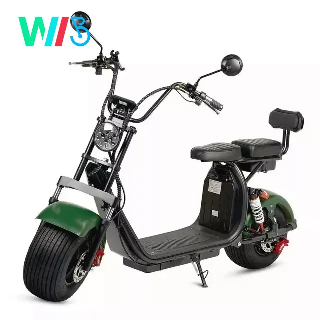 2022 Wide Tire Two Wheels Best Quality Moderate Price  COC/EEC Electric citycoco