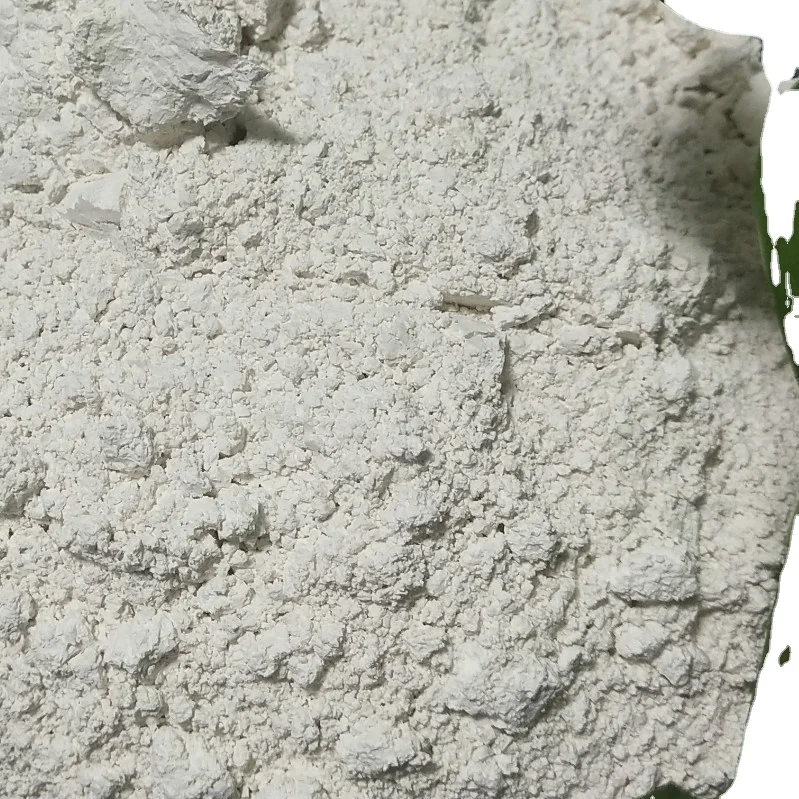 denitrifying bacteria  Anaerobion Microbial species used for water treatment