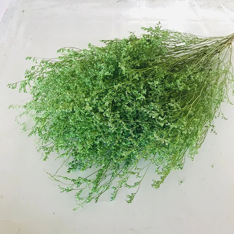 Засушенный цветок желтая влюбленная трава лимоний цветок для декоративных цветов и венков