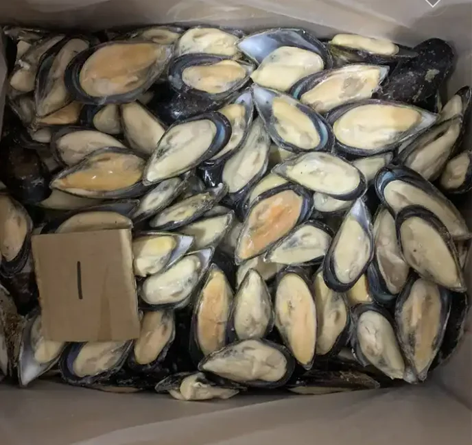 Good Quality Hot Sale Frozen Half Shell Green Mussel