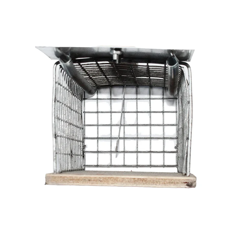 Small Square Eco-Friendly Wooden Animal Traps High-Cost Humane Pest Control Rabbits Birds Outdoor Farm Use Steel Material US