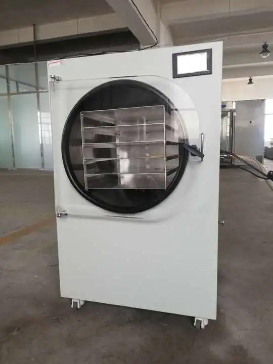 4-6kg Freeze Dryer Strawberry Pitaya Lyophilizer for Fruits and Vegetables