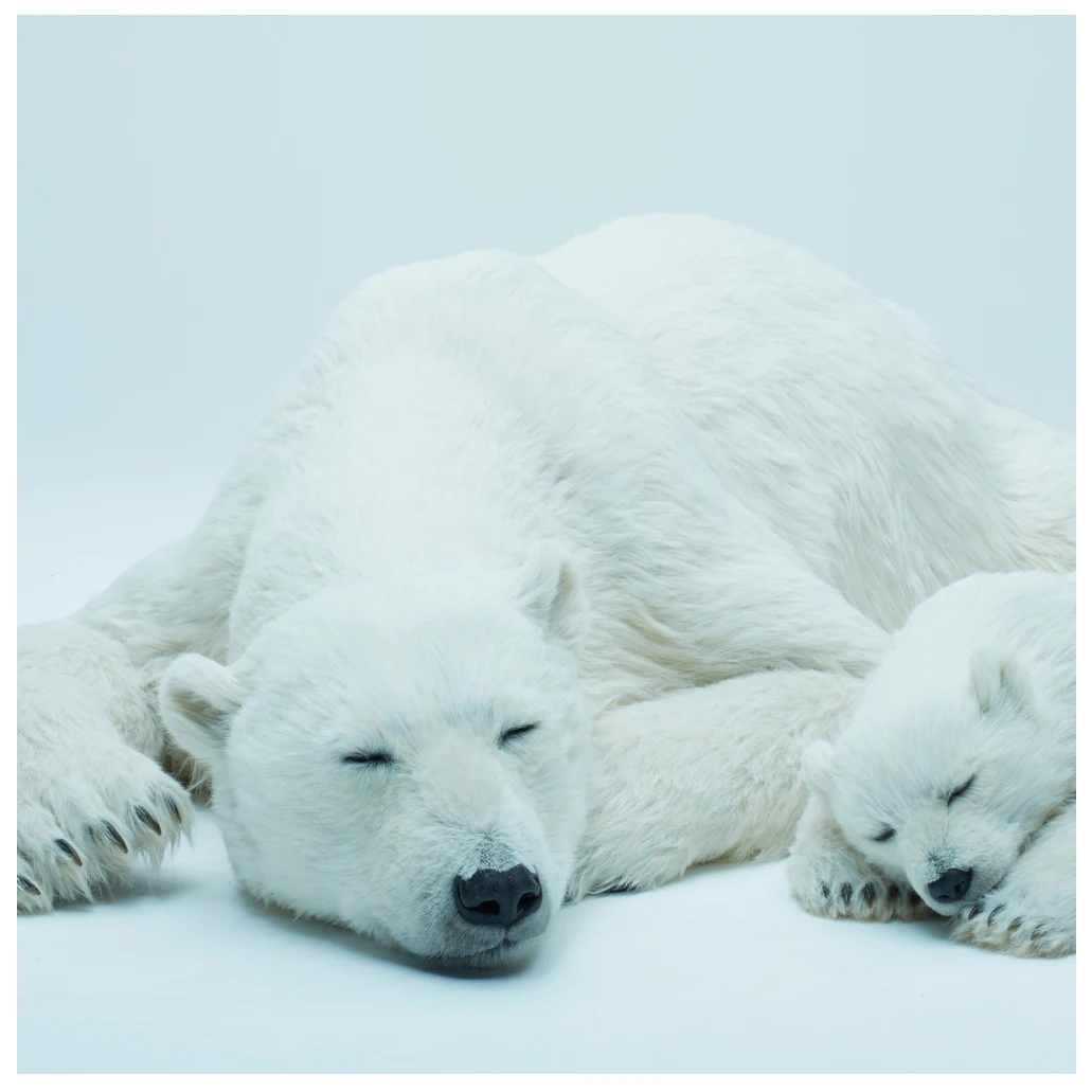 High Quality Polar Bear Simulation Anime 3d Model Sculpture Art