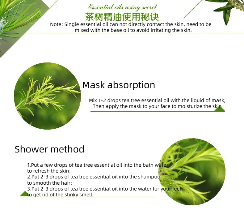 Wholesale 100% Private Label Fragrance Oil Tea Tree Essential Oil Natural Plant Aroma Oil for Skin Body Care