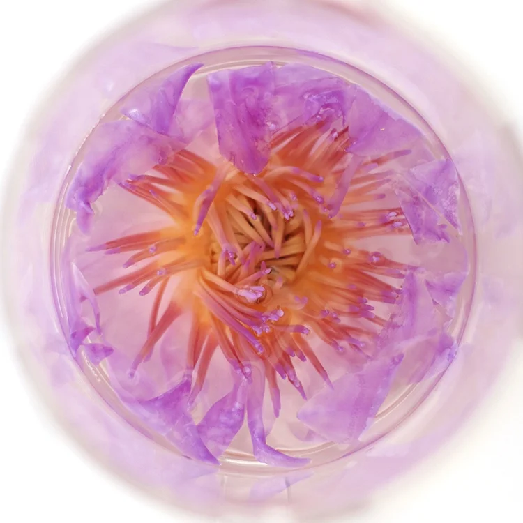 Factory Price Hot Sale China Wild Dried Blue Lotus For Tea