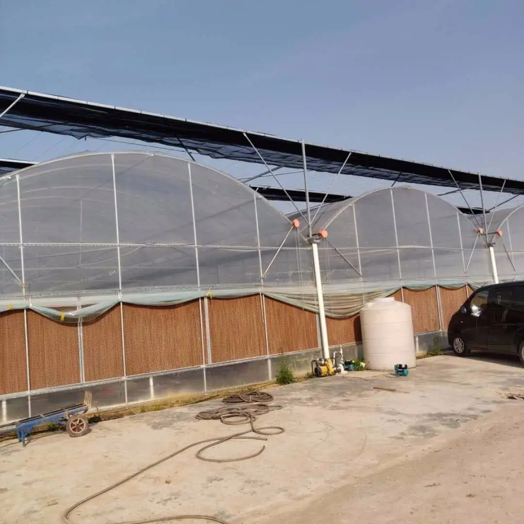 High strength galvanized steel pipe agricultural greenhouse, animal husbandry greenhouse,   cattle / sheep / chickens greenhouse