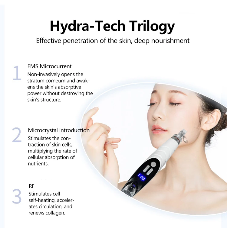 Personal Use 3 In 1 Ems Rf Mesotherapy Device Mesoterapia Injections Mesotherapy Mini Hair Inject Face Skin