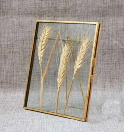 Amazing Look Photo Frame Gold Finished Border Frame High Quality Simple Designing Metal Frame Available at Low Price