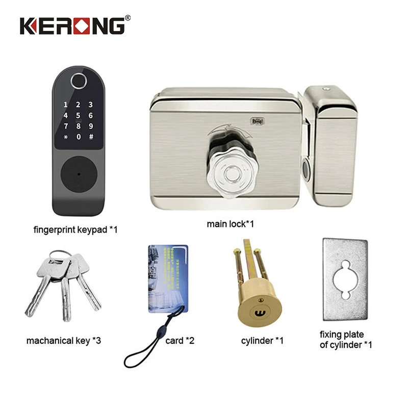 Waterproof Digital Outdoor Large Gate Smart Home TTlock APP Control Metal Door Lock