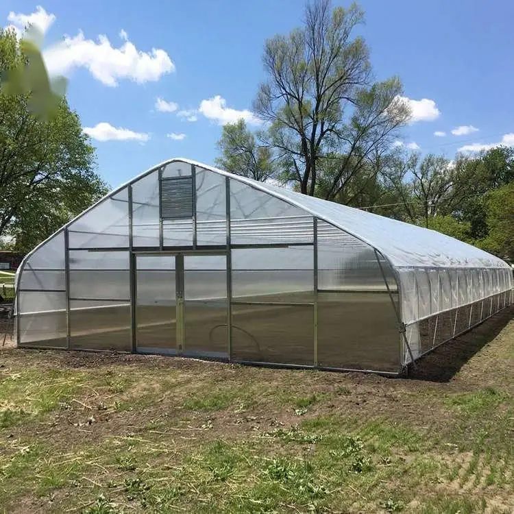 tunnel greenhouse (5).jpg