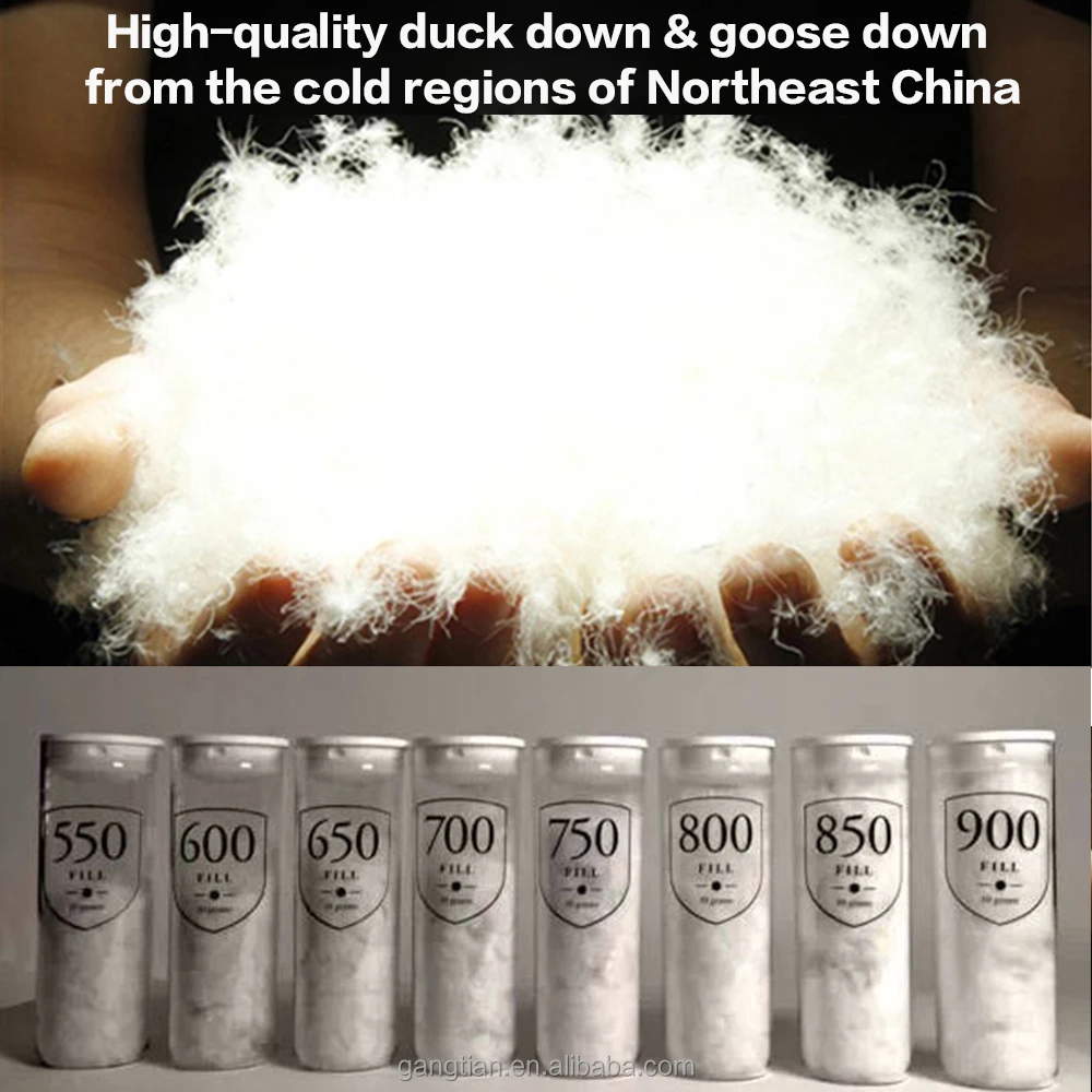 sleeping bags (2).jpg