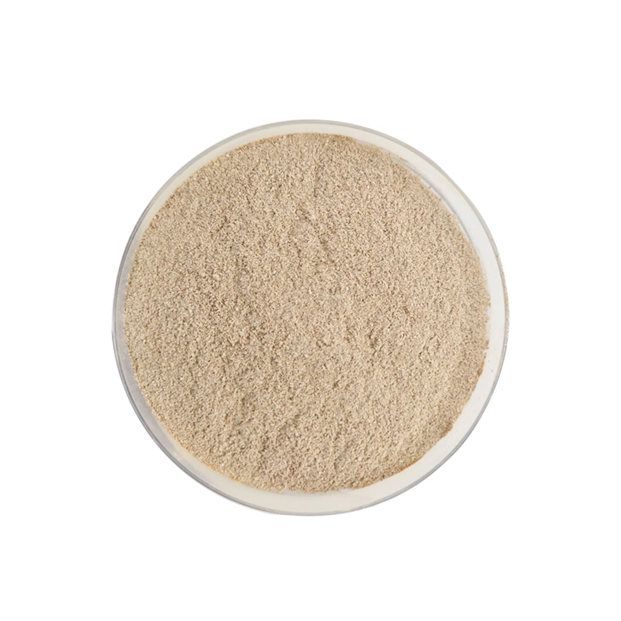 Waste water treatment bacteria enzyme probiotic sewage odor remove