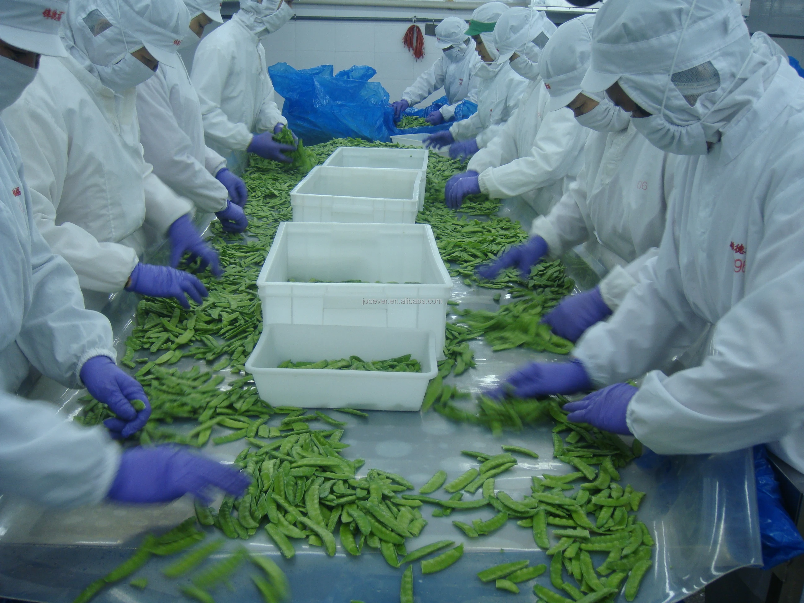 Замороженные овощи замороженные peapods Iqf Peapod нового сезона