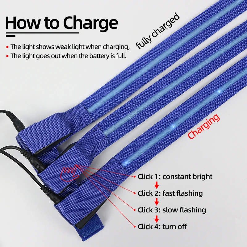 USB hot selling Bright LED flashing Horse Tail Light Lamp