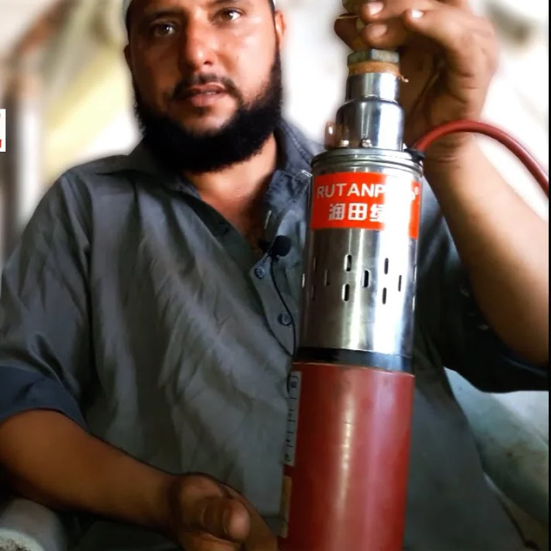 RUTANPUMP Screw brush solar water pump 12v 24v 32v solar powered water pumps solar water pump for agriculture Irrigation