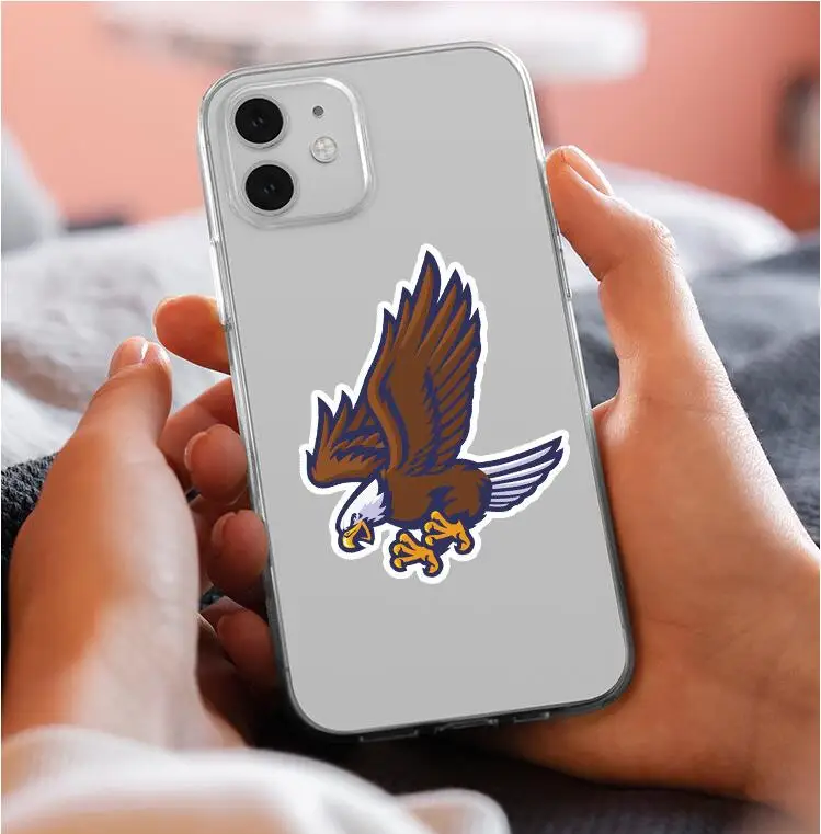 50PCS  Graffiti Sticker Car Motorcycle Bike Waterproof Eagle Skateboard Removable Label Stickers