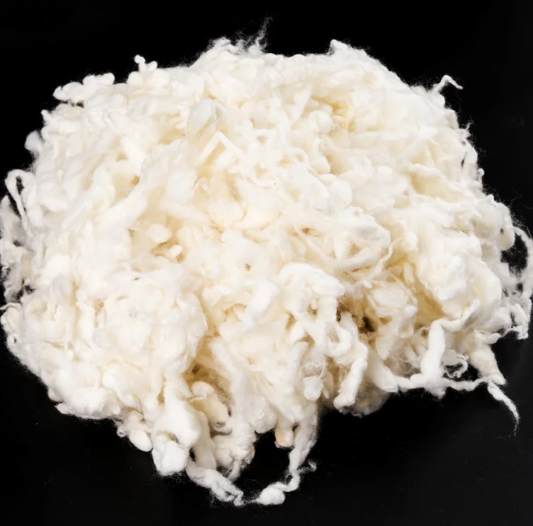 Superfine 18.5mic australia Fine and curly and softCarbonied Wool  for spining yarn ,suits, cardigans, scarves carbonized wool