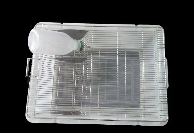 PC material CM1 Lab mice cages PP/PC Transparent Laboratory Mouse/Mice Cage