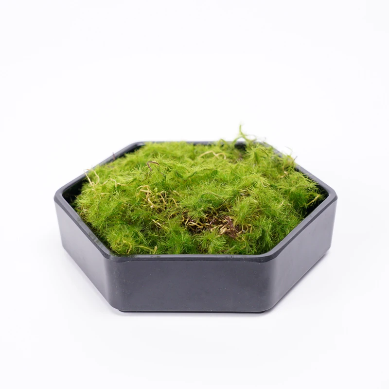 
Artificial Moss For Wall Decoration 12*10.5*3CM fake Moss in hexagonal plate 