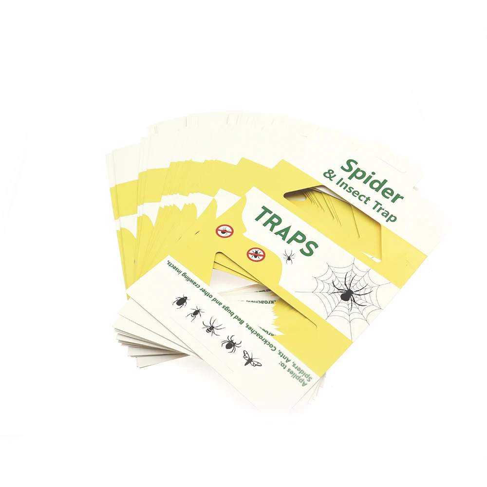 Eco Live Trap Sticky Spider and Insect Glue Traps for Restaurant