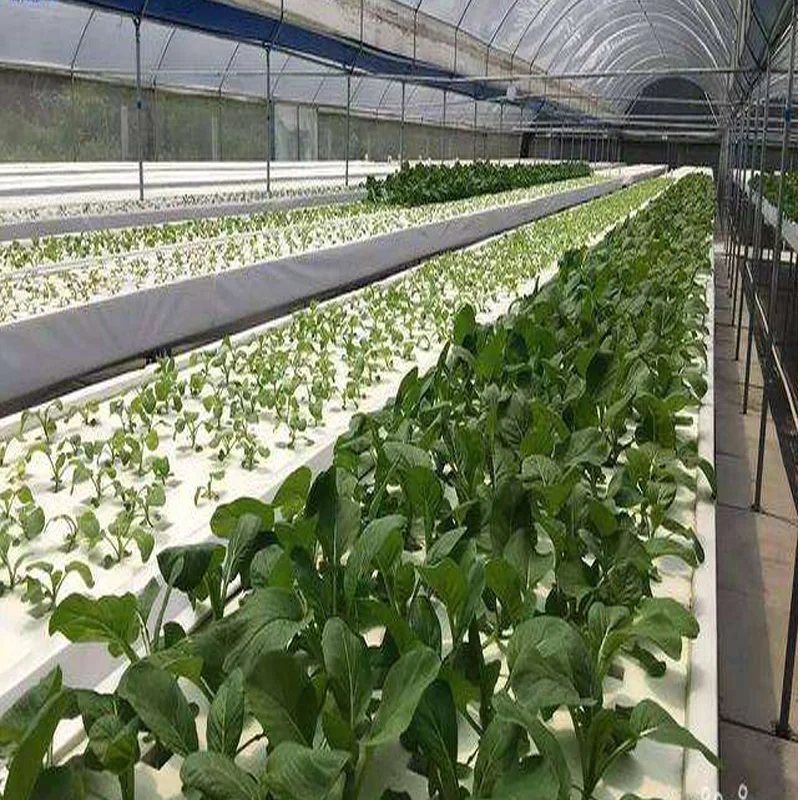 Agricultural greenhouse hydroponics shelves system indoor nft pipe gully for Lettuce high quality PVC Tube