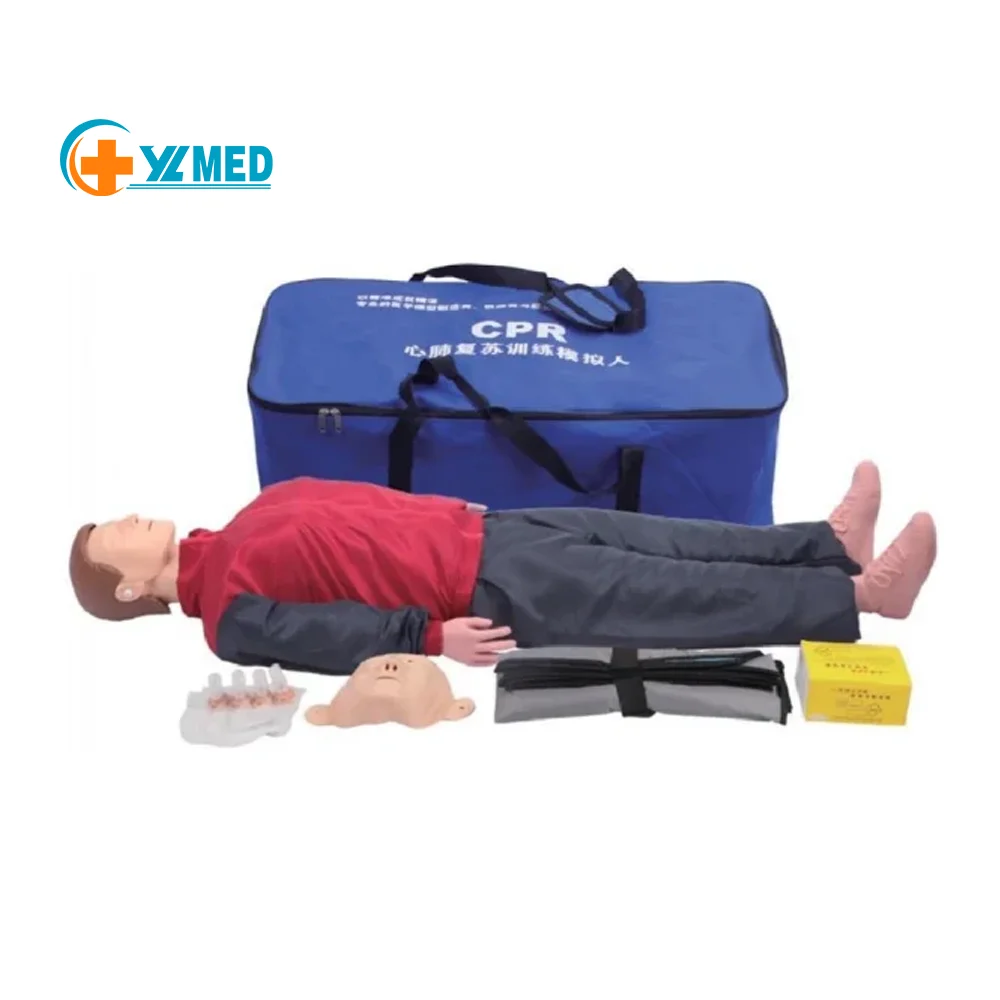 medical teaching resources science manikin CPR simulated human first aid training dummy models artificial respiration nursing