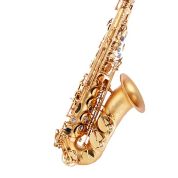 High Quality Professional Alto Saxophone AS-7368 in Gold Lacquer Brass Body with EB Tone