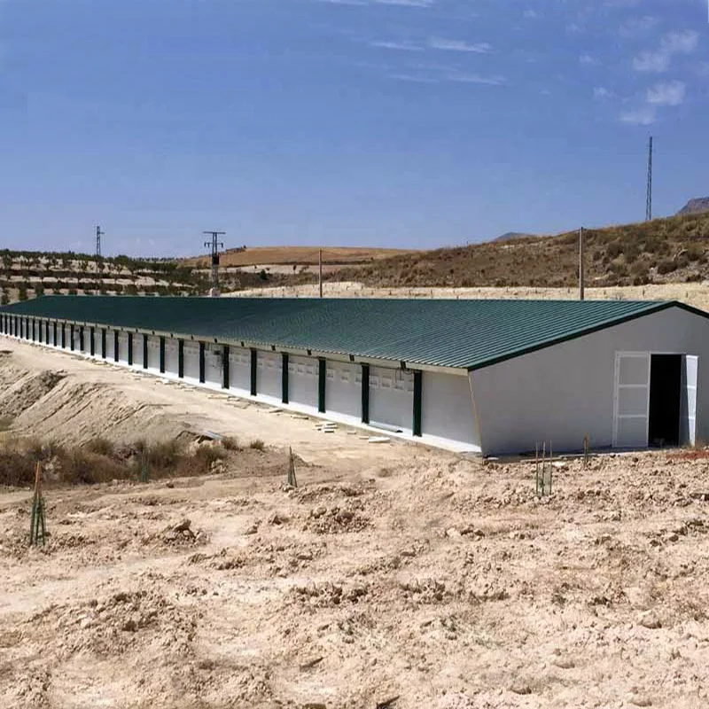 Профессиональный дизайн курица птицефабрики