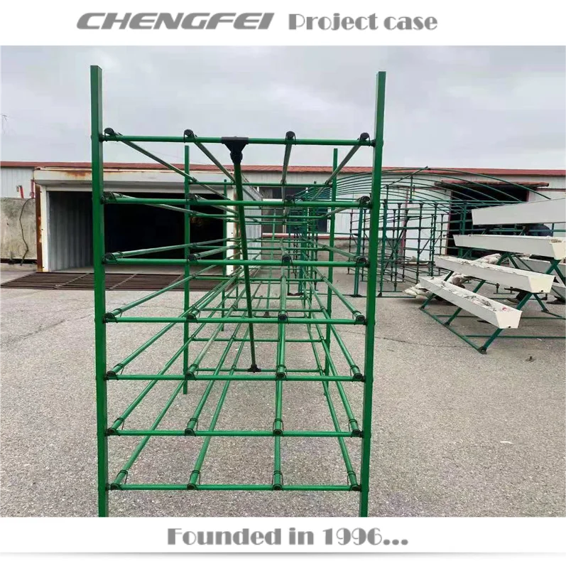 Black Fungus Mushroom Pleurotus Geesteranus Rack Shelf Frame For Greenhouse Use