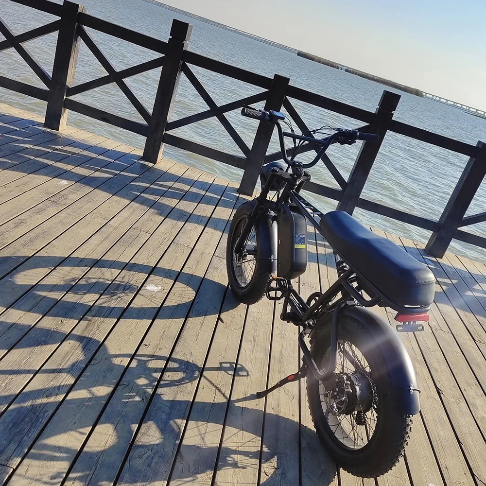 Yuanjian Cycle Long Range Electric Retro Style E Bike 750 Watt Fat Tire Bike Retro Vintage Cruiser eBike Vintage Electric Bicycle