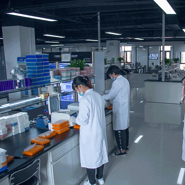 Wholesale OEM High Performance BM2000+ DNA Marker Biochemical reagent