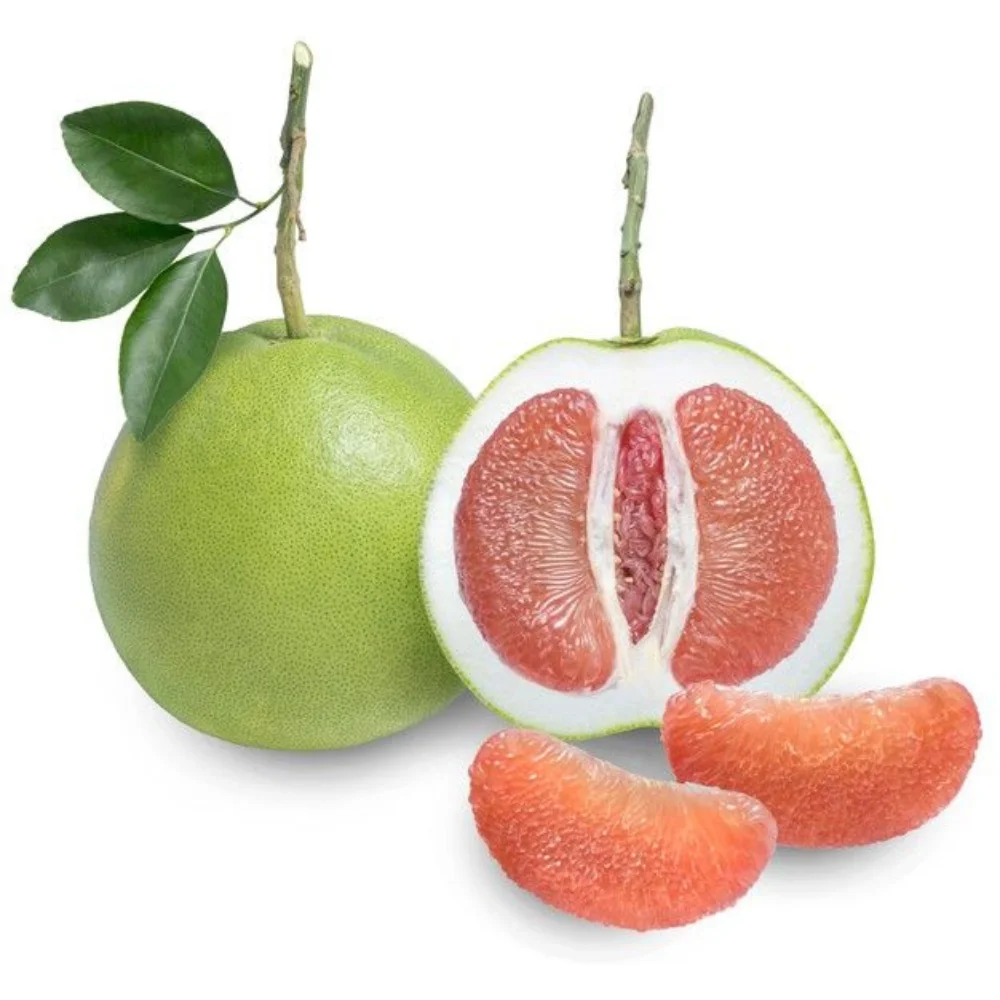 VIETNAMESE SUPPLIER OF GREEN SKIN POMELO FRESH GRAPEFRUITS IN BULK GOOD PRICES FOR EXPORT WHOLESALE