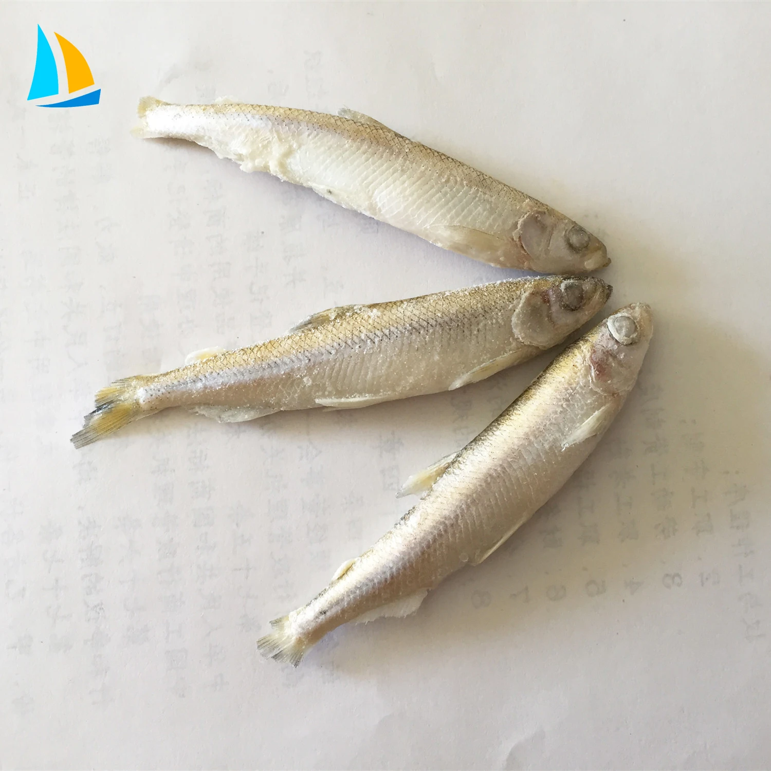 All types of frozen seafood cheap pond smelt fish supplier