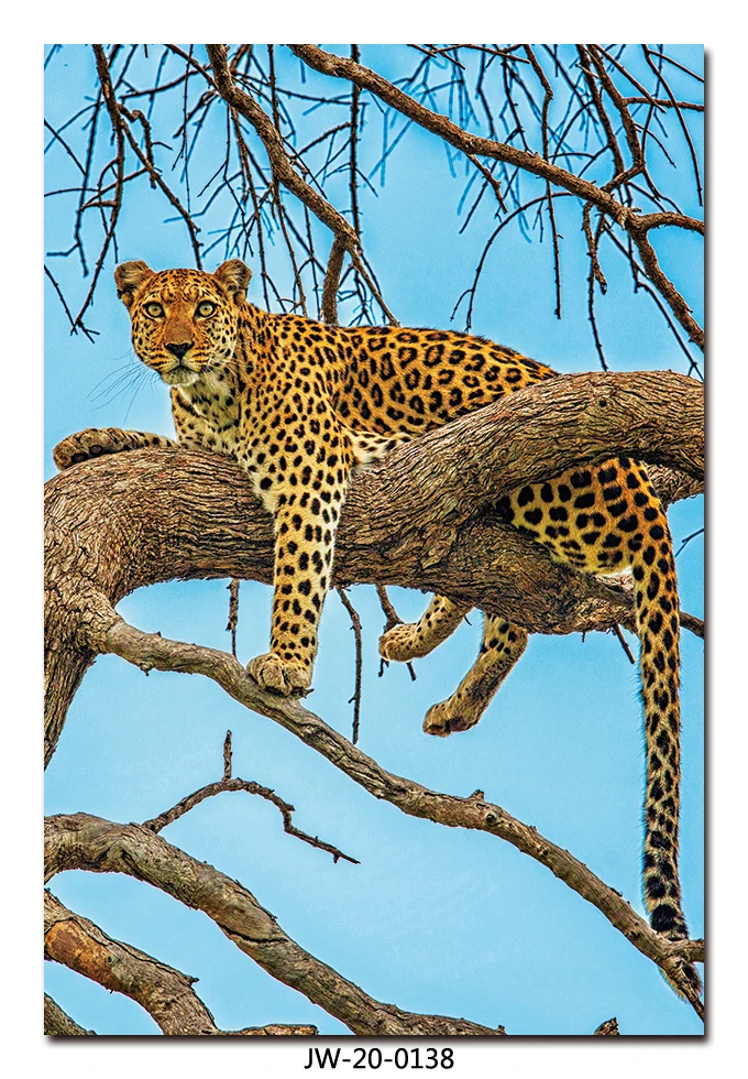 Waterproof high resolution custom canvas printing from animal photo stretch ready to hang cheetah painting