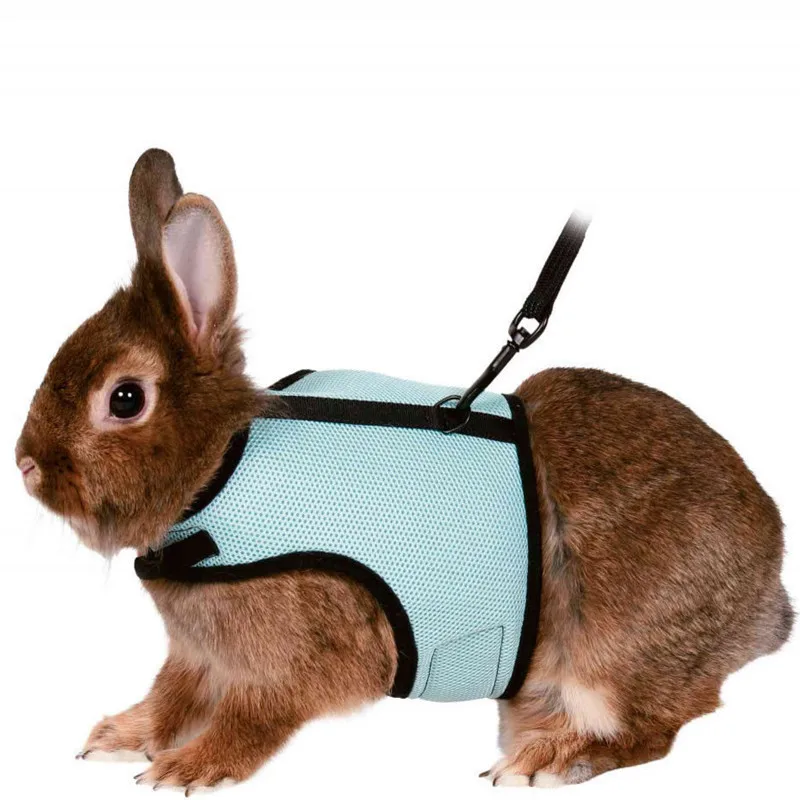 Pet Accessories Rabbit Harnesses Vest Leashes Set Small Animal Guinea Pig Hamsters Soft Mesh Harness With Leash